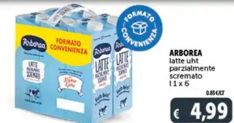 Deco Supermercati ARBOREA latte uht parzialmente scremato offerta