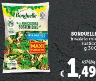 Deco Supermercati BONDUELLE insalata mix rustico g 300 offerta