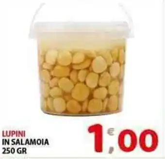 LUPINI IN SALAMOIA 250 GR