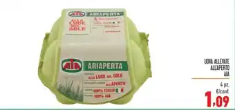UOVA ALLEVATE ALL'APERTO AIA 4 pz.