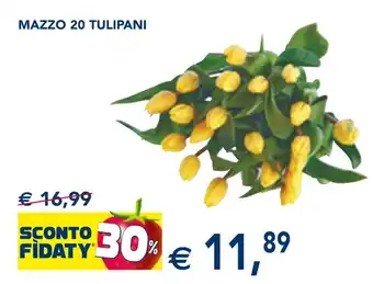 Esselunga MAZZO 20 TULIPANI offerta