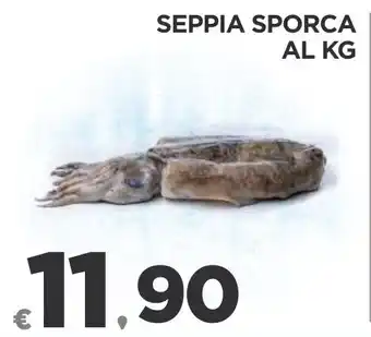 Deco Superfreddo SEPPIA SPORCA offerta