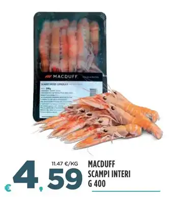 MACDUFF SCAMPI INTERI G 400
