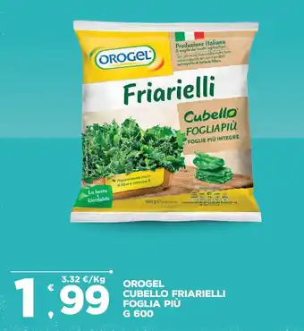 Deco Superfreddo OROGEL CUBELLO FRIARIELLI FOGLIA PIÙ G 600 offerta