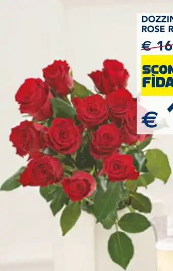 Esselunga DOZZINA ROSE ROSSE offerta