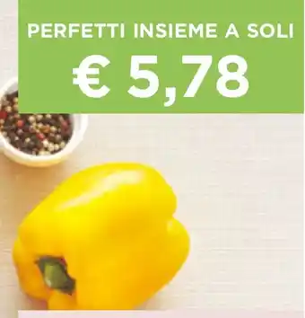 PERFETTI INSIEME A SOLI