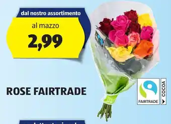 ALDI ROSE FAIRTRADE offerta