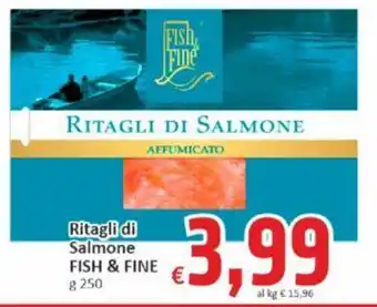 Paghi Poco Ritagli di Salmone FISH & FINE g 250 offerta