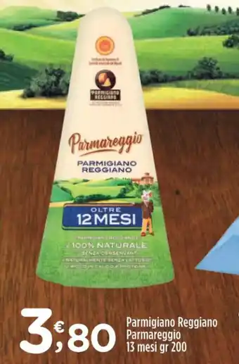 Parmigiano Reggiano Parmareggio 13 mesi gr 200