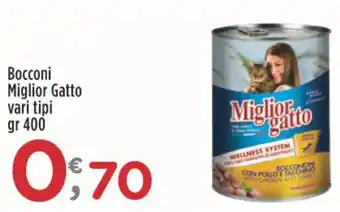 Crai Bocconi Miglior Gatto vari tipi gr 400 offerta