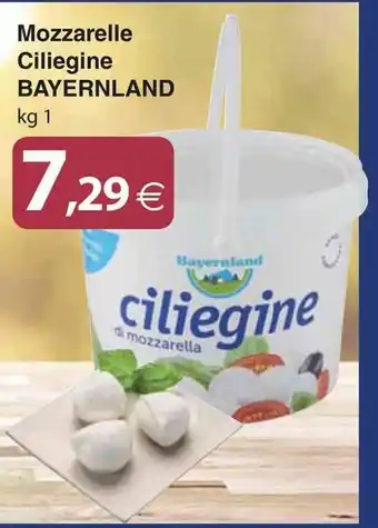 Docks Cash&Carry Mozzarelle Ciliegine BAYERNLAND kg 1 offerta
