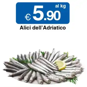 Sì con te Alici dell'Adriatico offerta