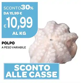 Ekom POLPO A PESO VARIABILE offerta