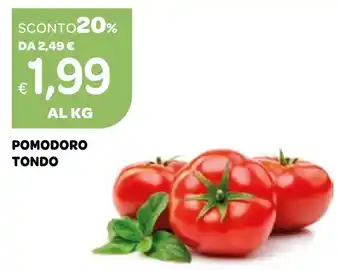 Ekom POMODORO TONDO offerta