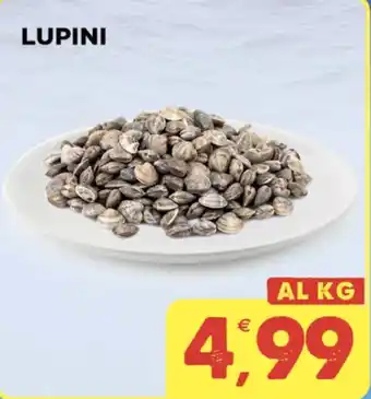 Gecop LUPINI offerta