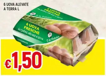 Famila 6 UOVA ALEVATE A TERRA L offerta