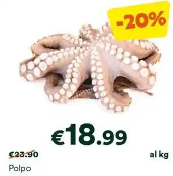 Unes Polpo offerta