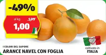 I COLORI DEL SAPORE ARANCE NAVEL CON FOGLIA