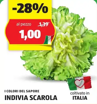 ALDI I COLORI DEL SAPORE INDIVIA SCAROLA offerta