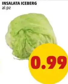 PENNY INSALATA ICEBERG offerta