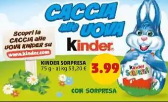 PENNY KINDER SORPRESA offerta