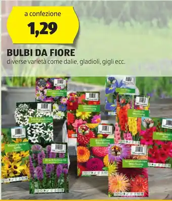 ALDI BULBI DA FIORE offerta