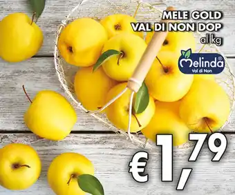 Coal MELE GOLD VAL DI NON DOP offerta