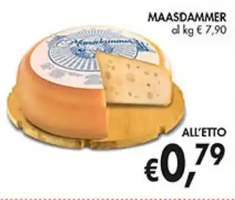 MAASDAMMER