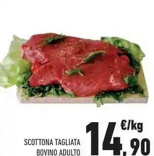 Conad City Scottona Tagliata Bovino Adulto offerta