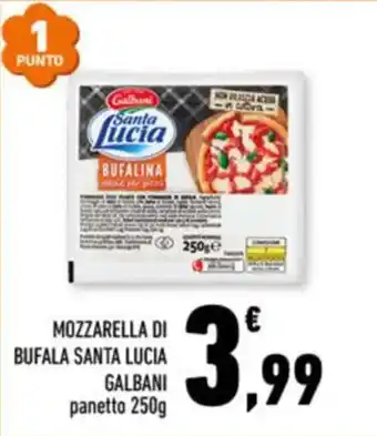 Conad MOZZARELLA DI BUFALA SANTA LUCIA GALBANI panetto 250g offerta