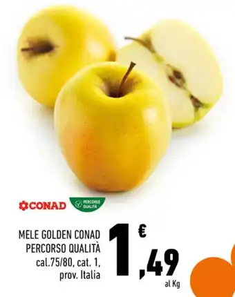 Conad MELE GOLDEN CONAD PERCORSO QUALITÀ offerta