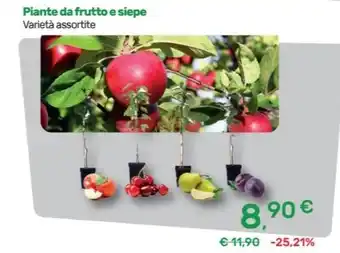 Piante da frutto e siepe