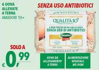 A&O Amadori 6 Uova Allevate a Terra 10+ offerta