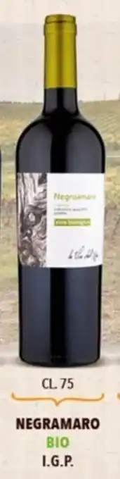 A&O Negramaro Bio I.G.P. 75cl offerta