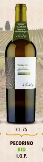 A&O Pecorino Bio I.G.P. 75cl offerta