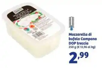 In'S Mercato Mozzarella di bufala Campana DOP treccia 250 g offerta