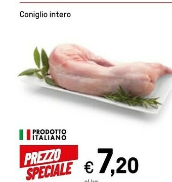 Coniglio