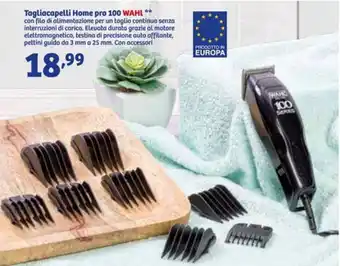 In'S Mercato Tagliacapelli Home pro 100 WAHL offerta