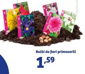 In'S Mercato Bulbi da fiori primaverili offerta