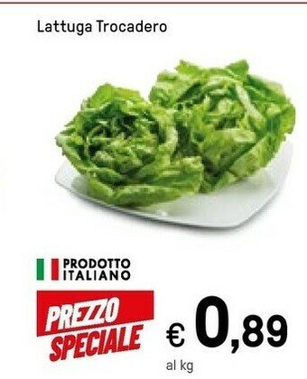 Iper La Grande Lattuga offerta