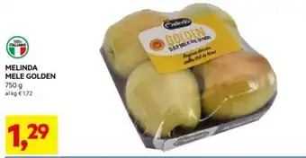 DPiù MELINDA MELE GOLDEN offerta