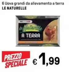 Iper La Grande 6 Uova grandi da allevamento a terra LE NATURELLE offerta