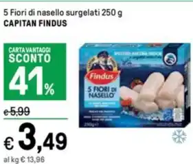 Iper La Grande 5 Fiori di nasello surgelati 250 g CAPITAN FINDUS offerta