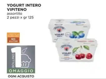 YOGURT INTERO VIPITENO 2 pezzi x gr 125