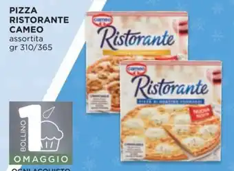 Alì Supermercati PIZZA RISTORANTE CAMEO assortita gr 310/365 offerta