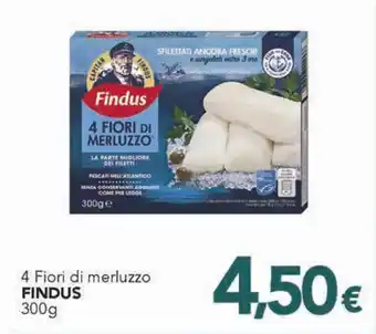 Altasfera 4 Fiori di merluzzo FINDUS 300g offerta