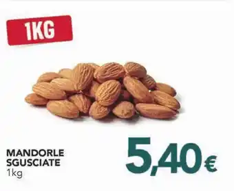 Altasfera MANDORLE SGUSCIATE 1kg offerta