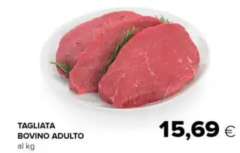 Tigre TAGLIATA BOVINO ADULTO offerta