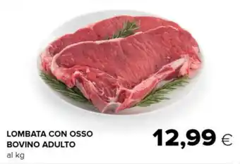 Tigre LOMBATA CON OSSO BOVINO ADULTO offerta