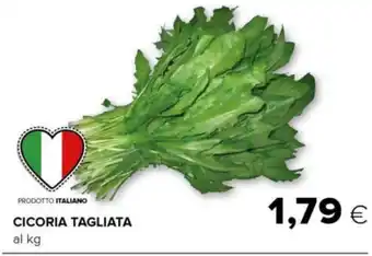 Tigre CICORIA TAGLIATA offerta